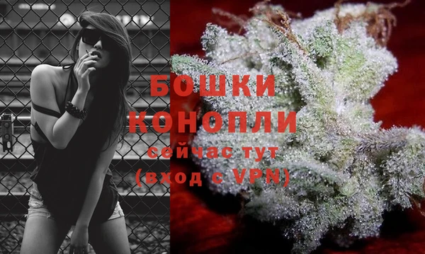 трава Покачи