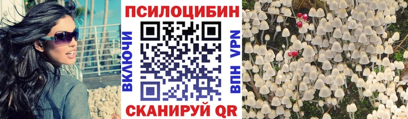 Галлюциногенные грибы GOLDEN TEACHER  MEGA ТОР  Верея 